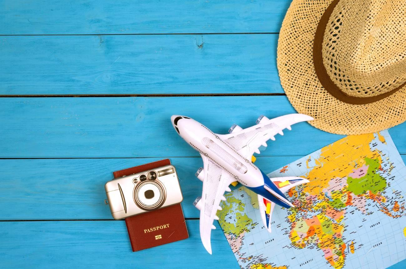 a-complete-guide-to-the-american-airlines-pet-in-cabin-policy