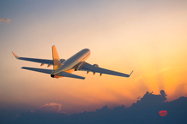https://ia600109.us.archive.org/15/items/airlines-guides/American-Airlines-senior-fare-discount-policy-Guide.pdf